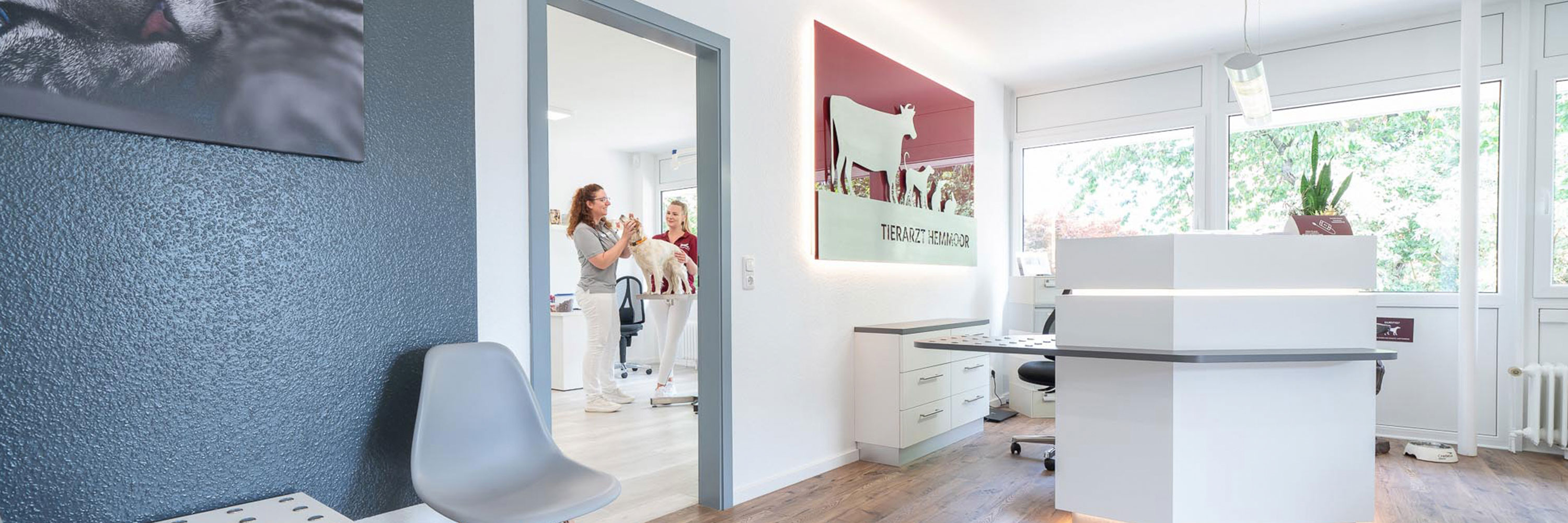 Tierarzt Hemmoor – Dr. Berit Kemper